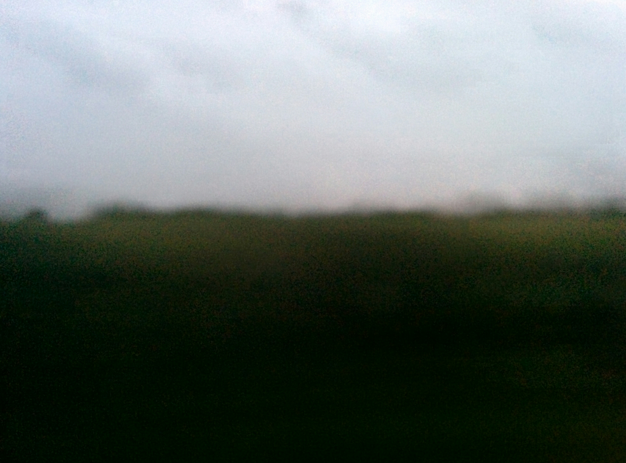 wp-1405195598258 image