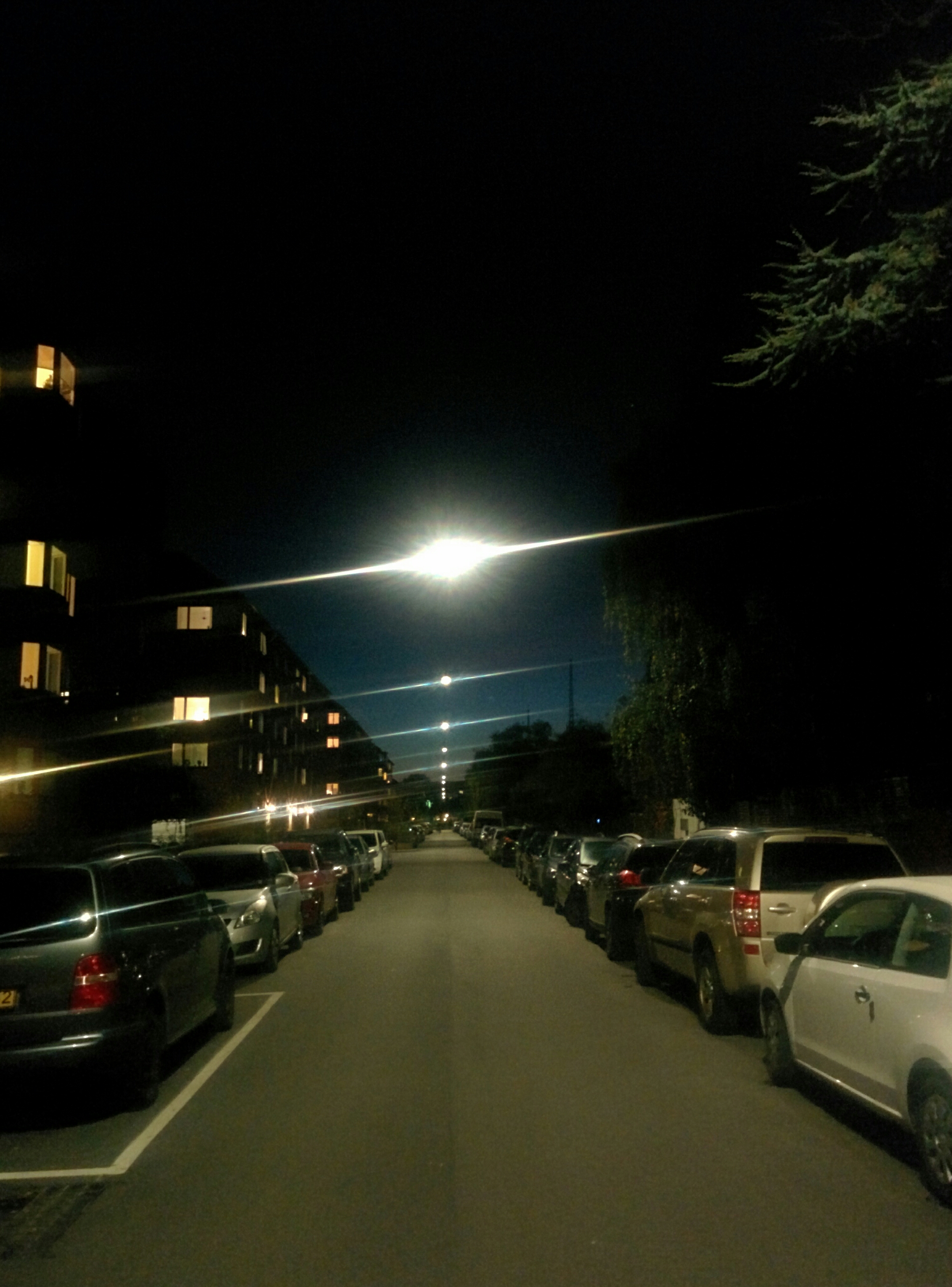 IMG_20141012_192753.jpg image