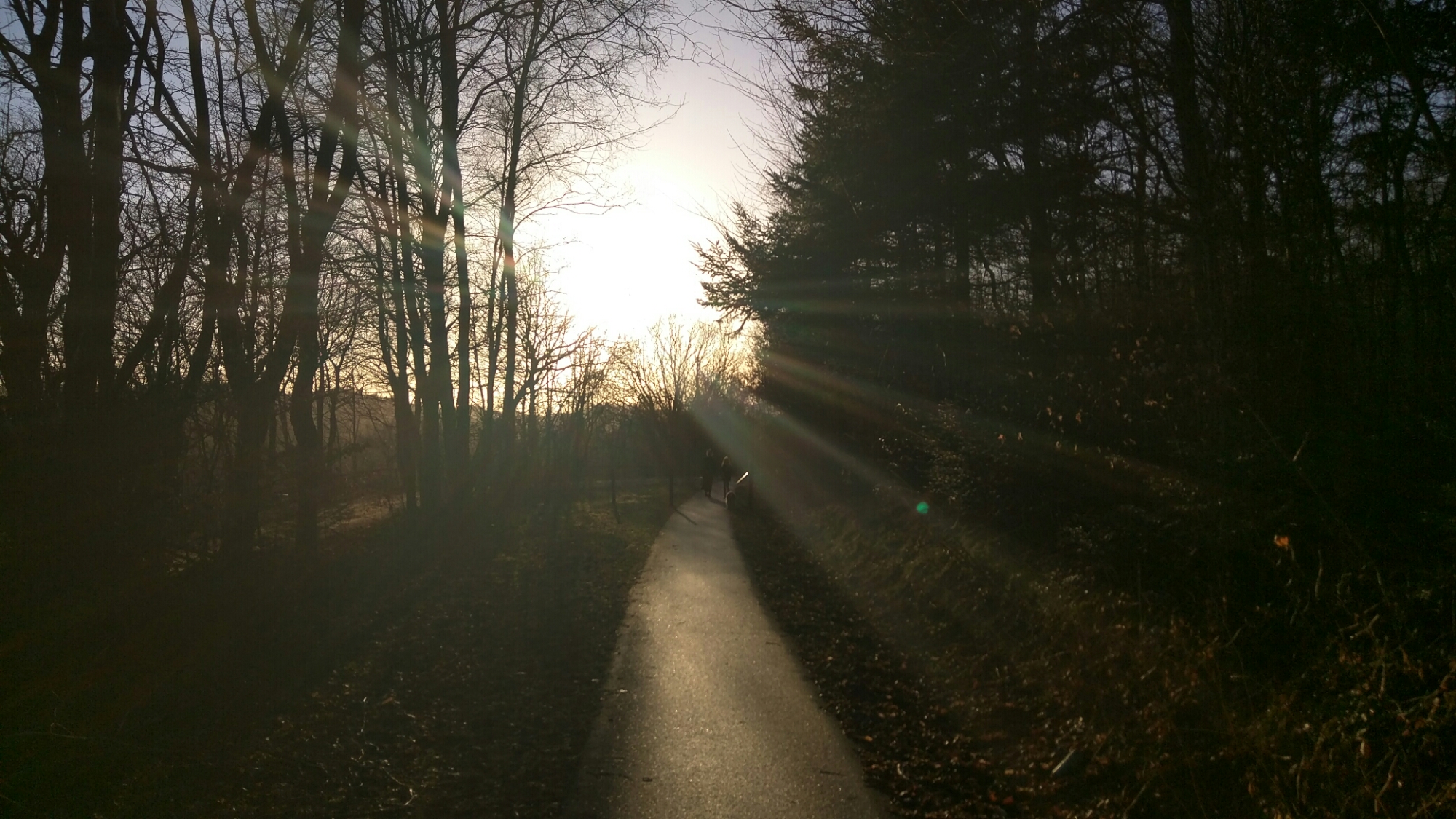 wp-1458925586223 image