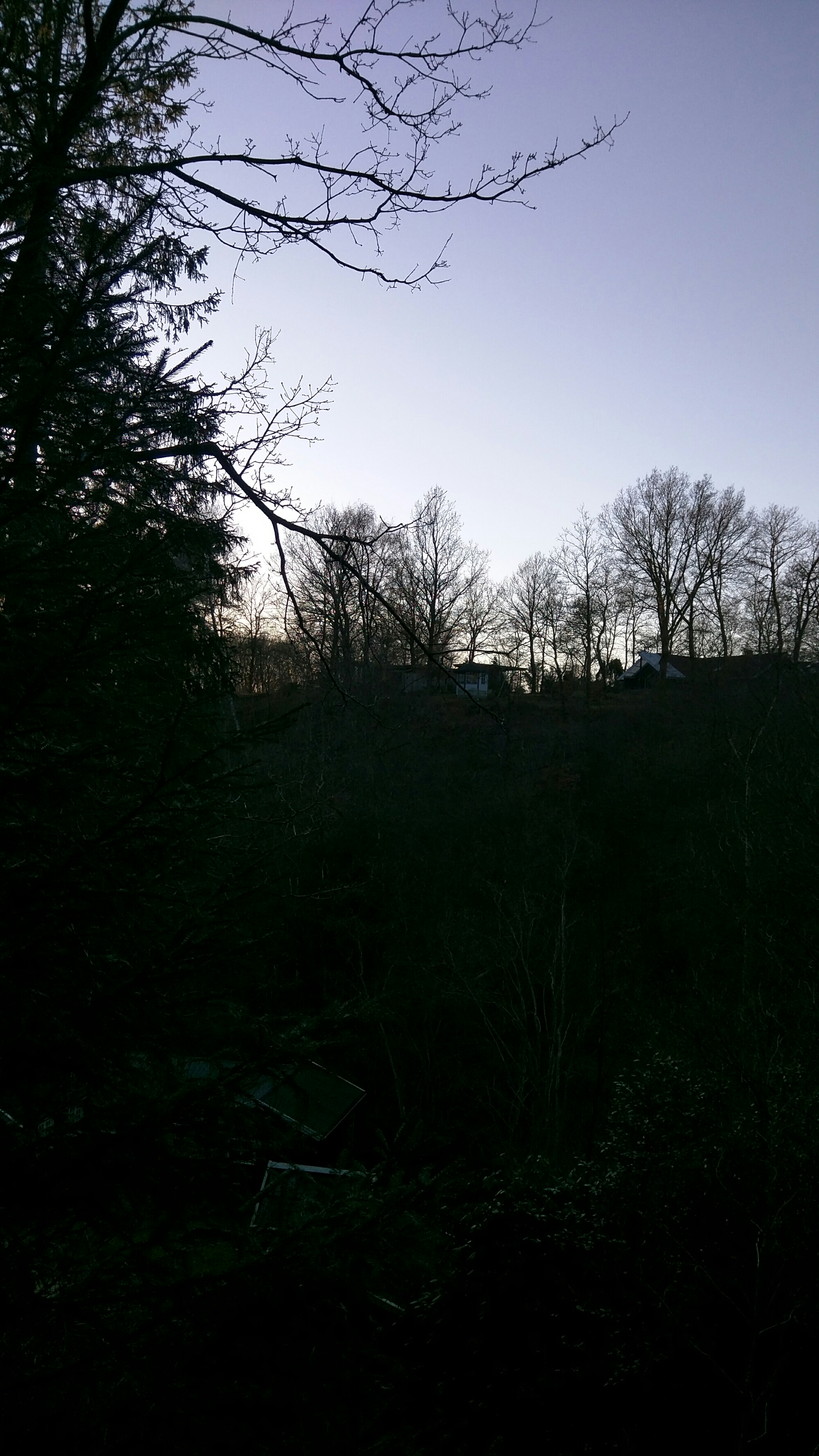 wp-1458925619427 image