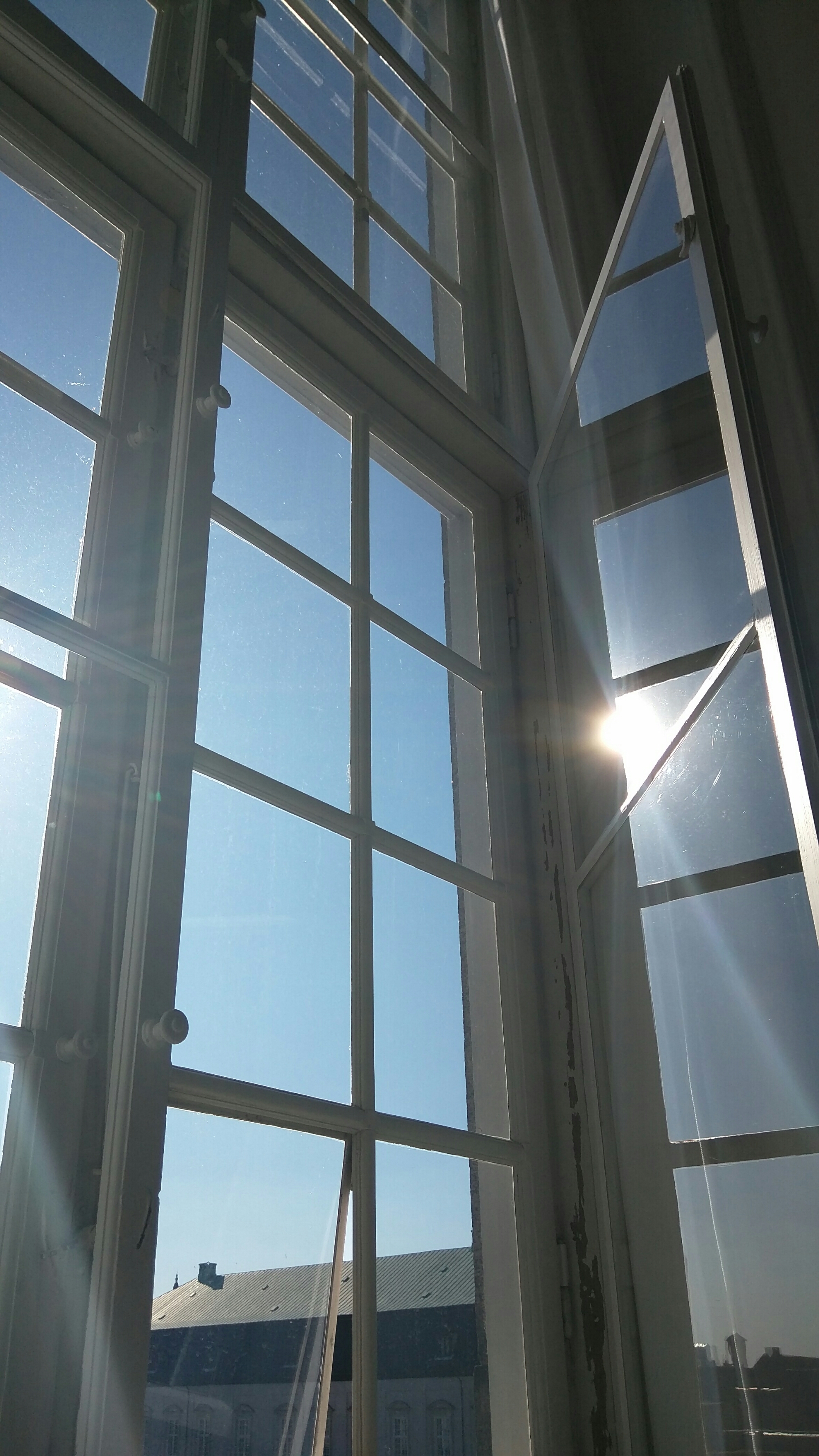 wp-1462808436047 image